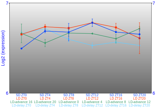 Expression graph