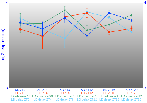 Expression graph