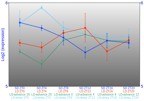 Expression graph