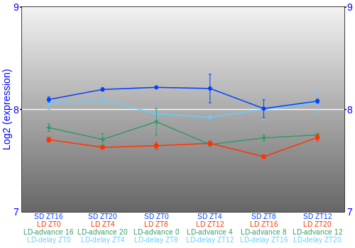 Expression graph