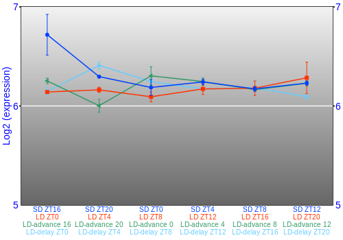 Expression graph