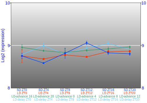 Expression graph