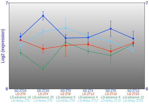Expression graph