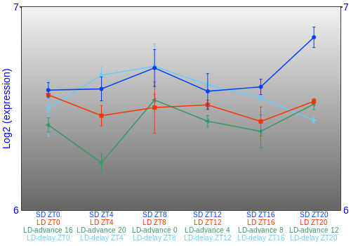 Expression graph