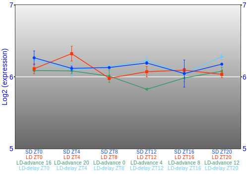 Expression graph