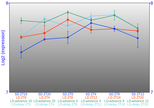 Expression graph