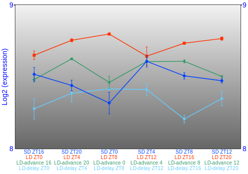 Expression graph