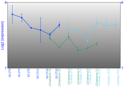 Expression graph