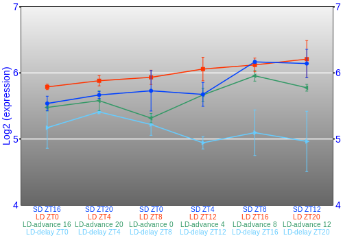 Expression graph