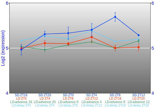 Expression graph