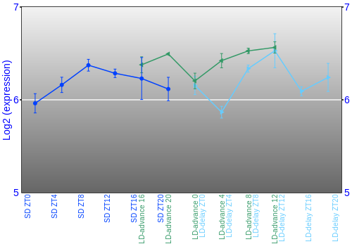 Expression graph