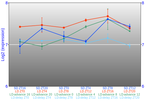 Expression graph