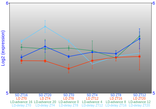 Expression graph