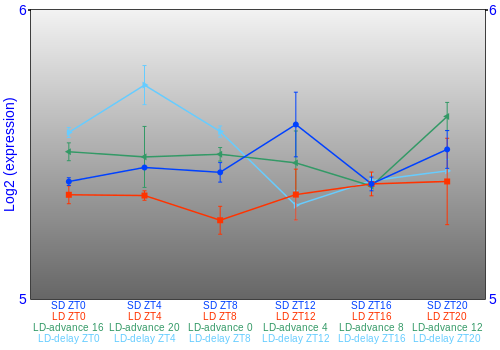 Expression graph