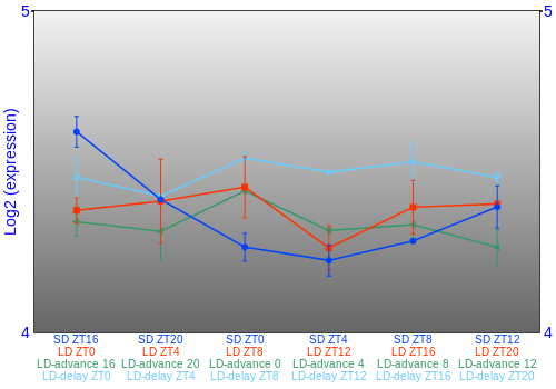 Expression graph