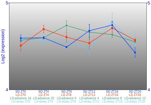 Expression graph