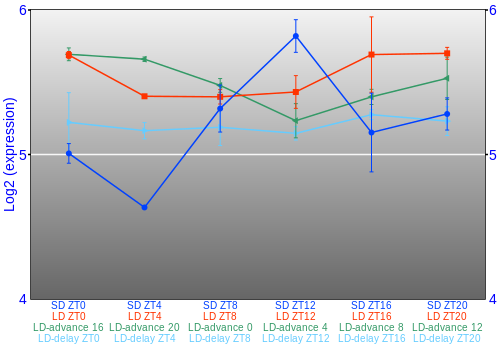 Expression graph