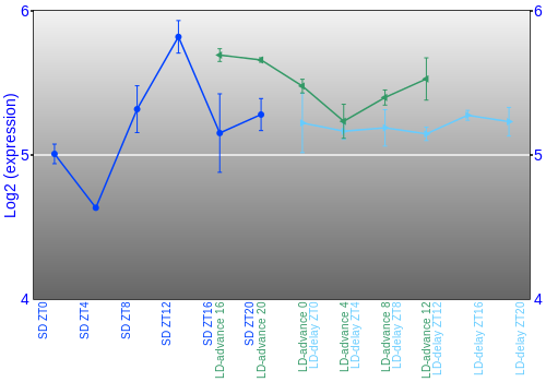 Expression graph