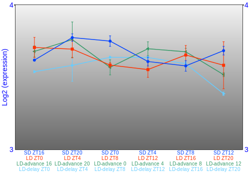Expression graph