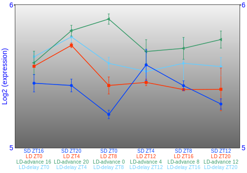 Expression graph