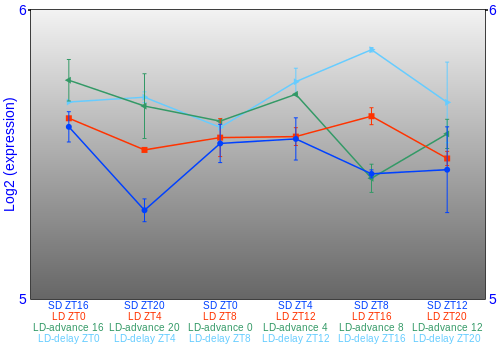 Expression graph