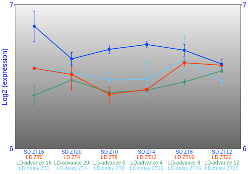 Expression graph