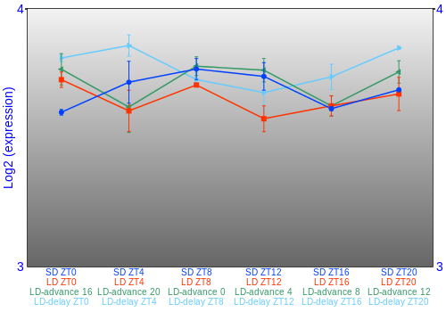 Expression graph