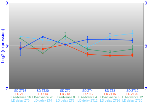 Expression graph