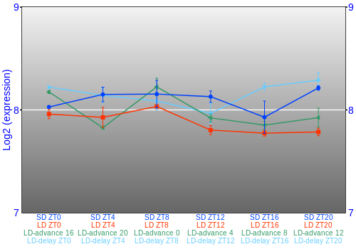 Expression graph