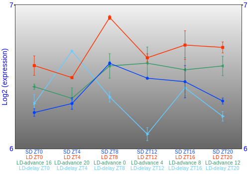 Expression graph