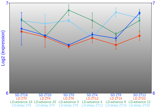 Expression graph