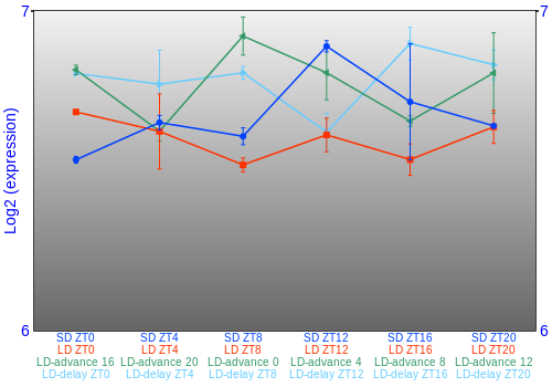 Expression graph