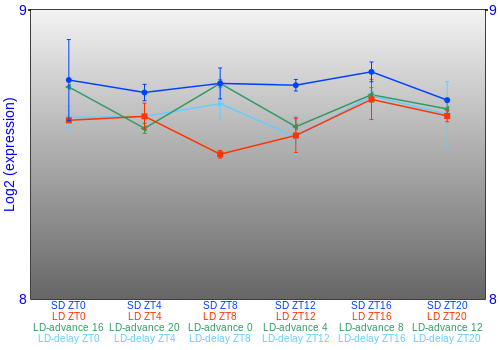 Expression graph