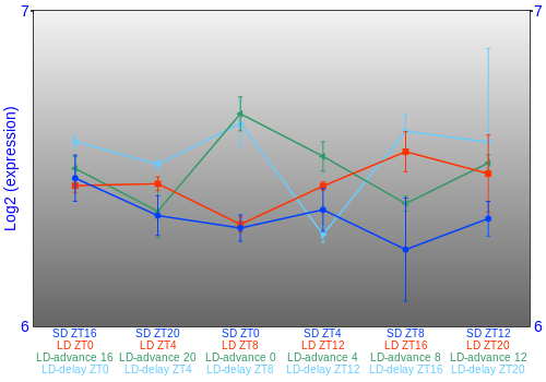 Expression graph