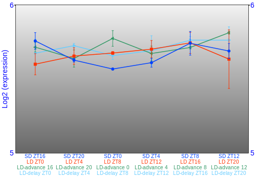 Expression graph