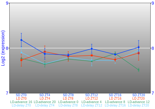 Expression graph