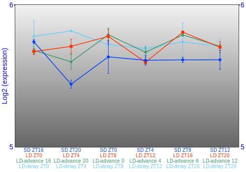 Expression graph