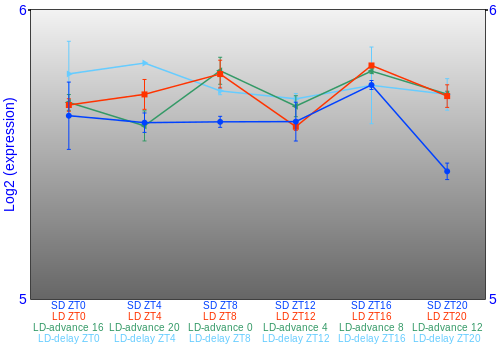 Expression graph