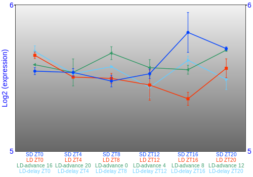 Expression graph