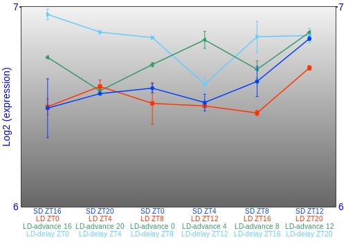 Expression graph