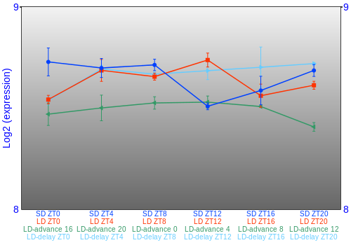 Expression graph