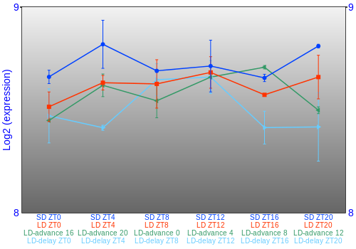 Expression graph