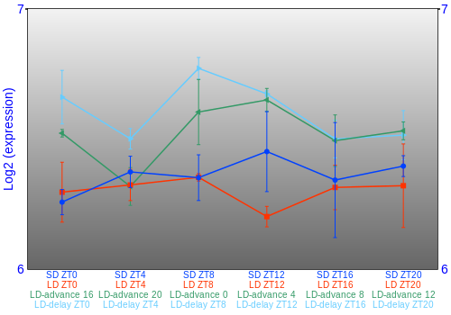Expression graph