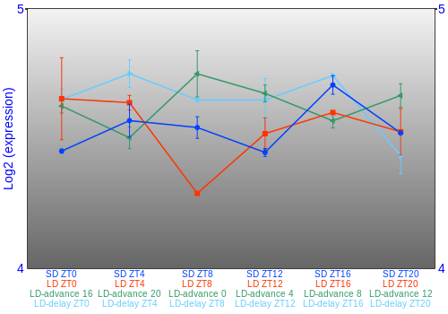 Expression graph