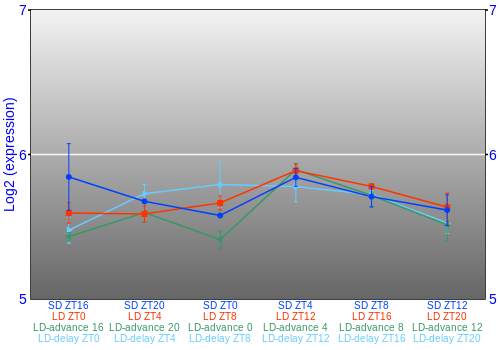 Expression graph