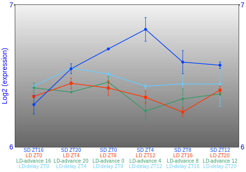 Expression graph