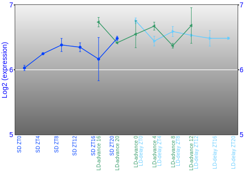Expression graph