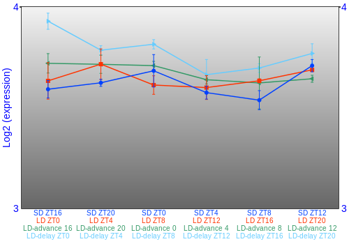 Expression graph