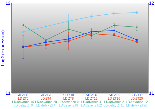 Expression graph