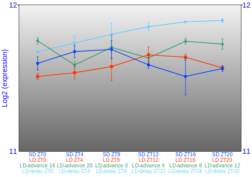 Expression graph